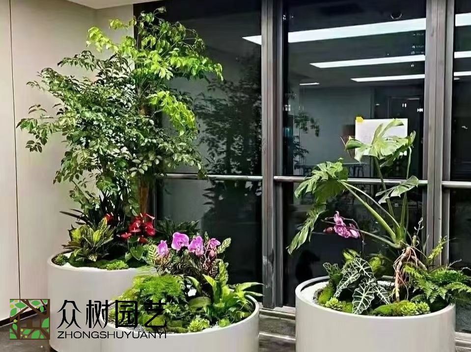 植物組合