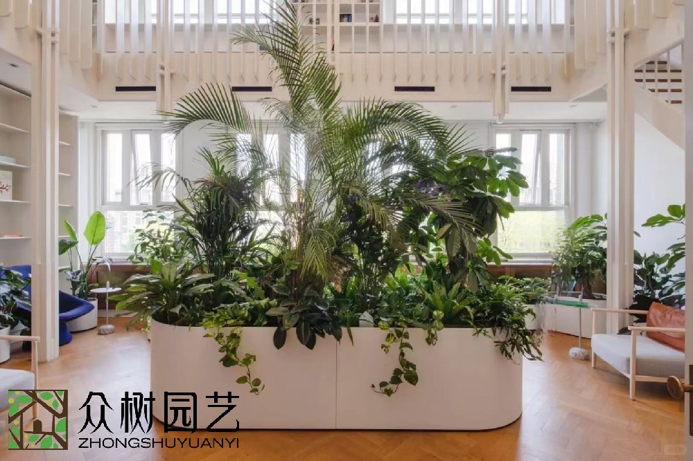 花箱植物組合